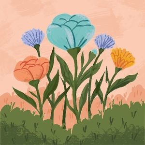 Meet your Posher, Jentry